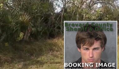 Florida man allegedly stuffed human remains in suitcases found in remote area