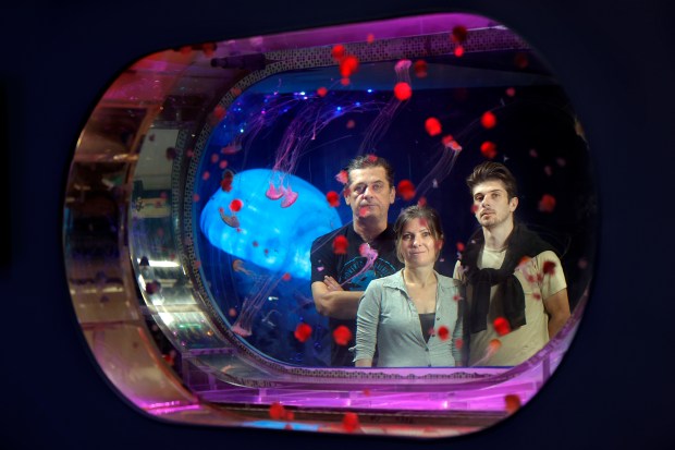 Yana Yanovska, her husband, Alex Yanovskyi, left, and their son, Yan Yanovskyi, are shown behind cannonball and Japanese sea nettle jellyfish at the Jellyfish Museum in Pompano Beach. (Amy Beth Bennett / South Florida Sun Sentinel)