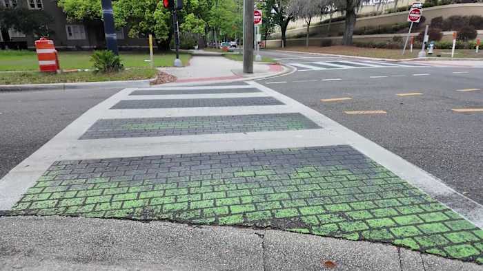 Orlando’s Crosswalk Cover-Up Under Scrutiny