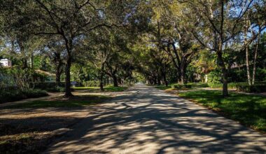 Herald endorsement: Coral Gables Referendum 8
