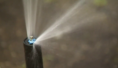 Water restrictions for Tampa Bay Region to begin Friday, what homeowners, businesses need to know