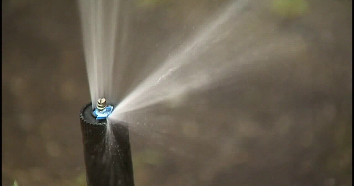 Water restrictions for Tampa Bay Region to begin Friday, what homeowners, businesses need to know