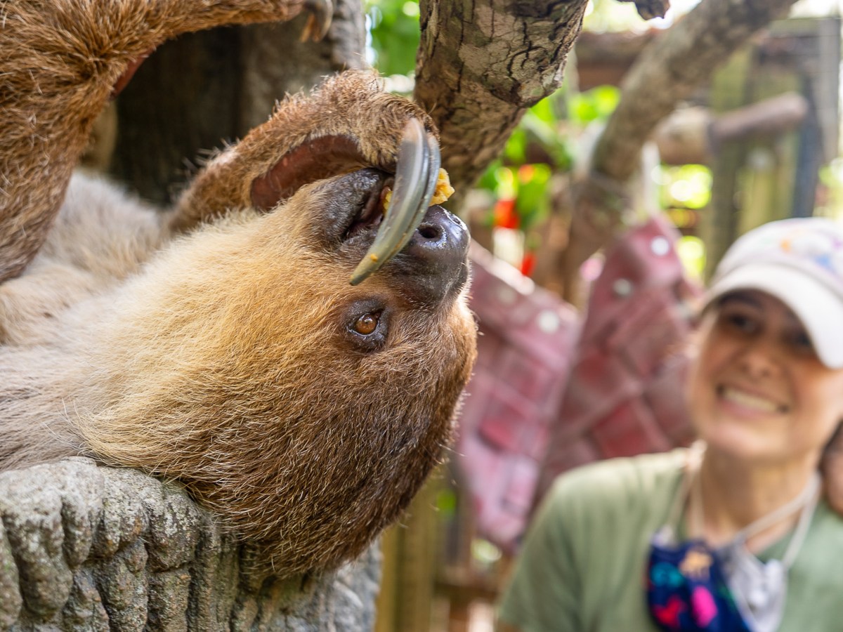 Central Florida Zoo extends weekend hours through May