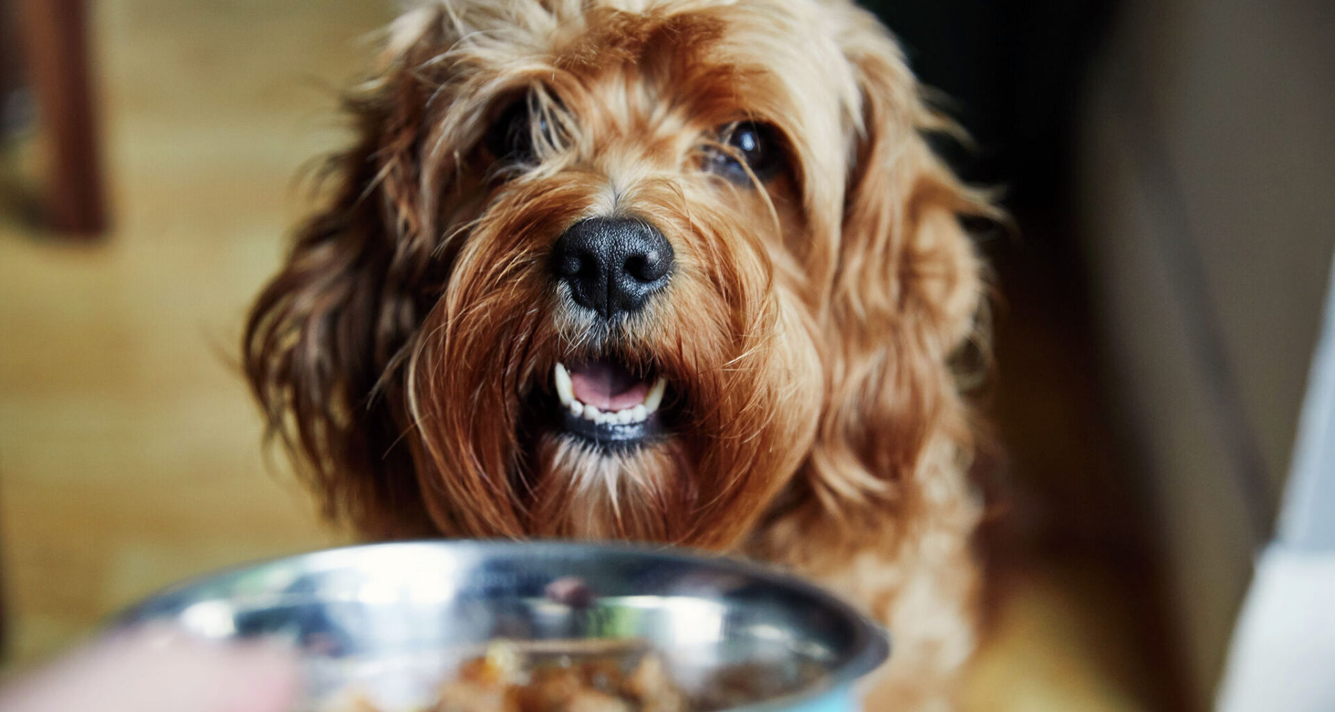 A charitable effort to help pet owners feed their furry family members during financially challenging times is changing some of its policies after its fingers were bitten one too many times.
