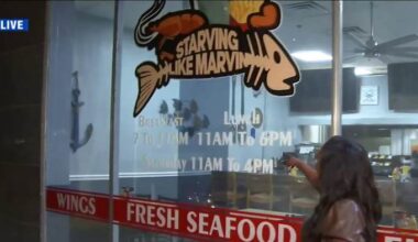 Local businesses excited for Pearl Square