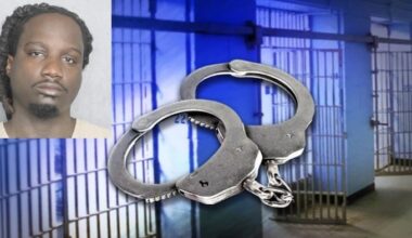 Georgia man on probation arrested after fleeing cops, crashing in Hollywood