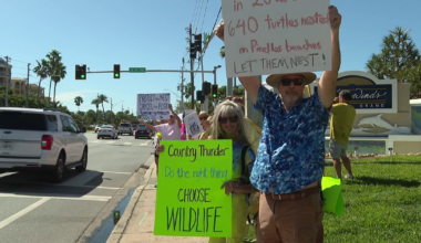 Country Thunder Florida festival on St. Pete Beach faces backlash over wildlife concerns, permit questions