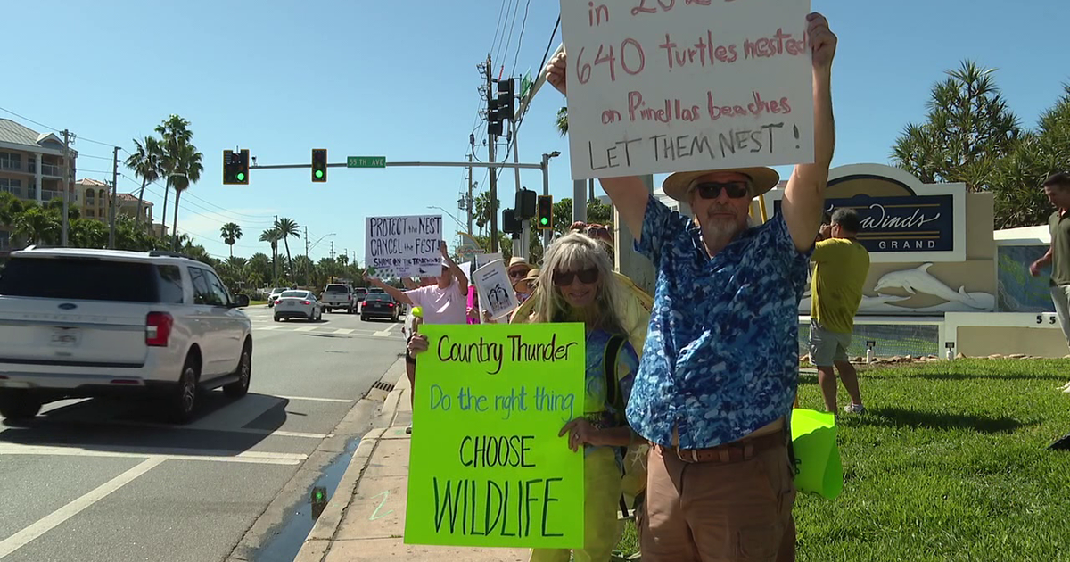 Country Thunder Florida festival on St. Pete Beach faces backlash over wildlife concerns, permit questions