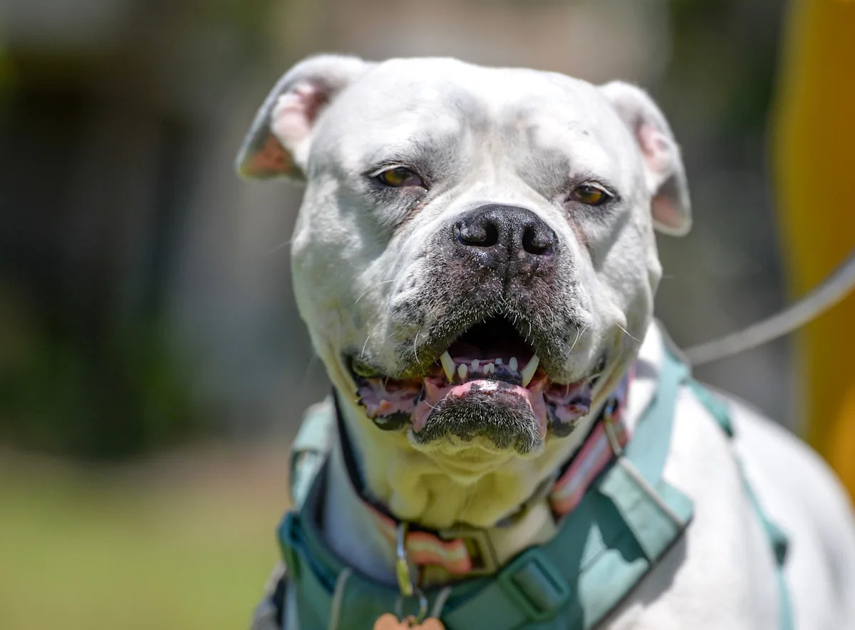 Yahoo lifestyle home