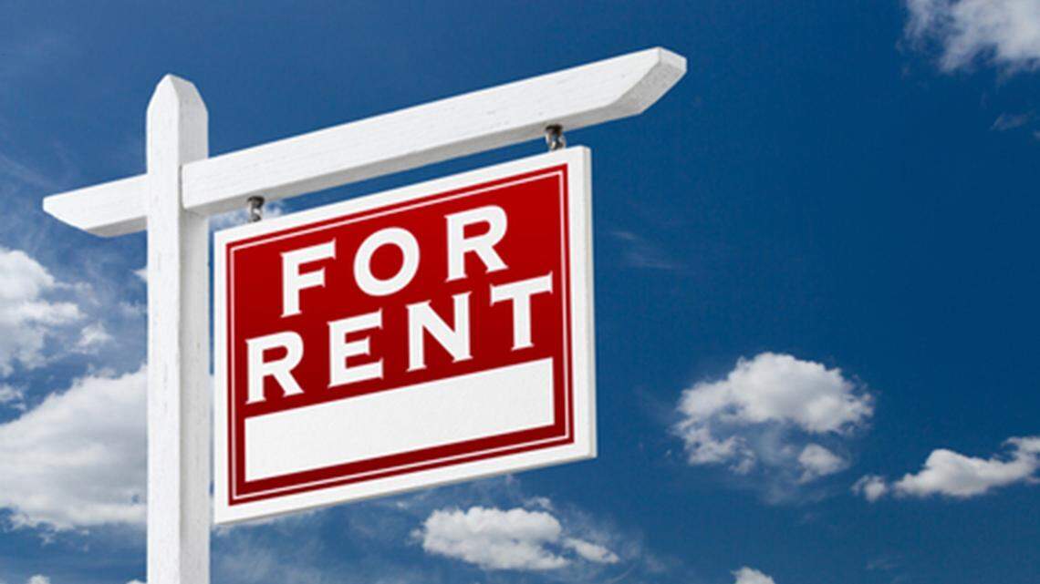 Workshop for renters: budgeting, scams and landlord tips