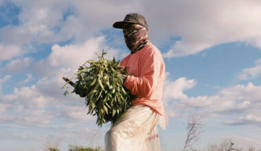 ‘Without Shade, Without Rest’: New documentary highlighting fight for outdoor worker heat protections screens in Tampa