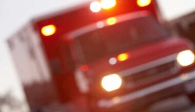 Olathe man critically injured, 4 cattle killed in Miami County crash
