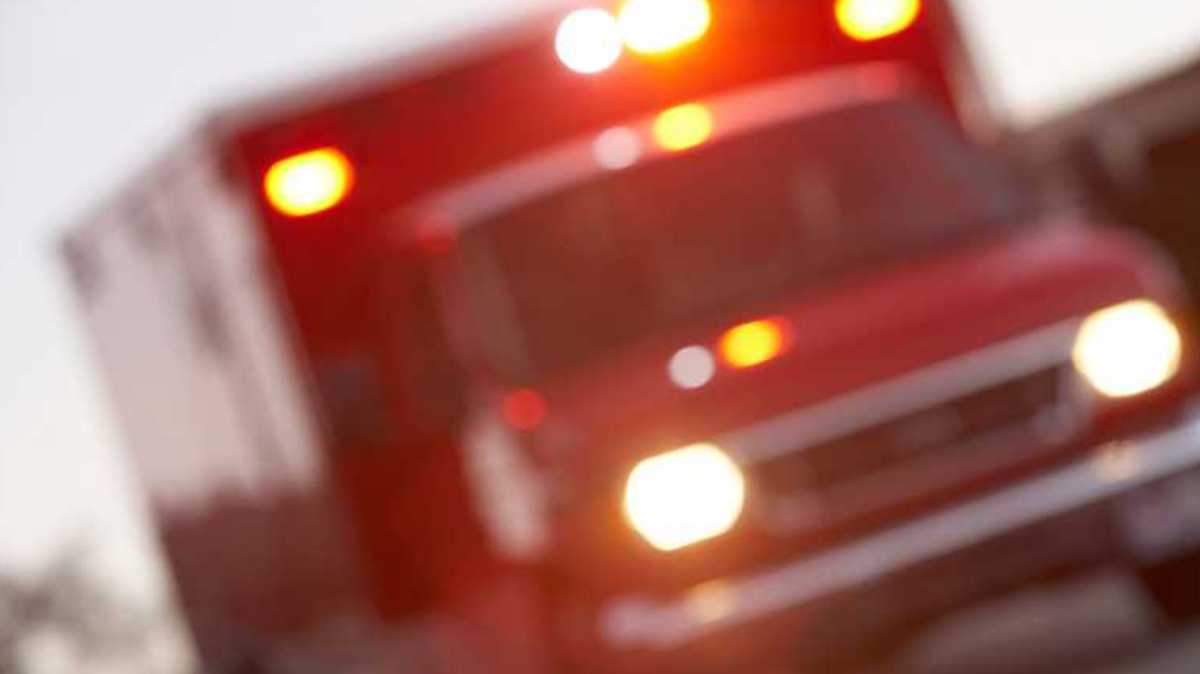 Olathe man critically injured, 4 cattle killed in Miami County crash