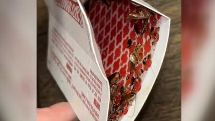 Jacksonville mom disputes $2K lease charge after roach-infested unit fails inspection