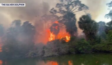 Drought, freeze create ‘perfect recipe’ for Florida wildfires: Here's what to know