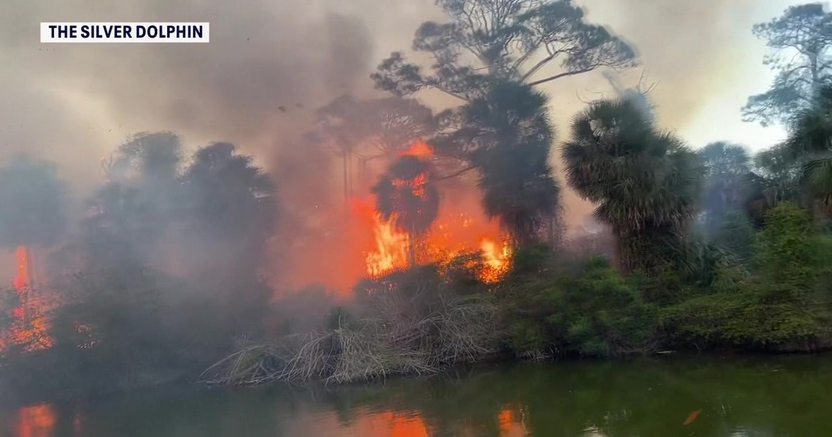 Drought, freeze create ‘perfect recipe’ for Florida wildfires: Here's what to know