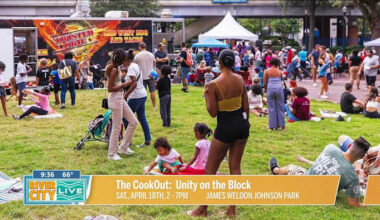 Unity on the Block at James Weldon Johnson Park