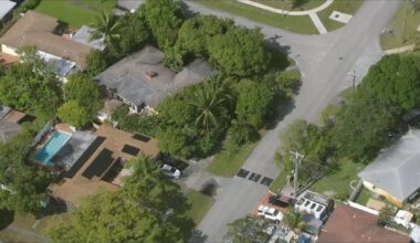 Police pursuit of stolen car ends with driver crashing in Fort Lauderdale