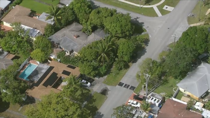 Police pursuit of stolen car ends with driver crashing in Fort Lauderdale