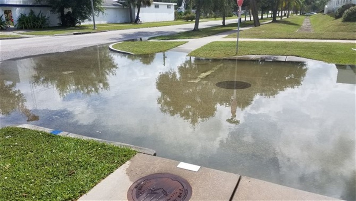 Sunny Day Flooding and King Tides