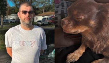 ‘Bulls***:’ Florida man caught beating up chihuahua, sheriff says