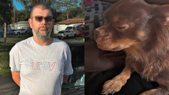 ‘Bulls***:’ Florida man caught beating up chihuahua, sheriff says