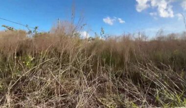 Brush fire concerns rise among worst drought Florida has seen since 2001