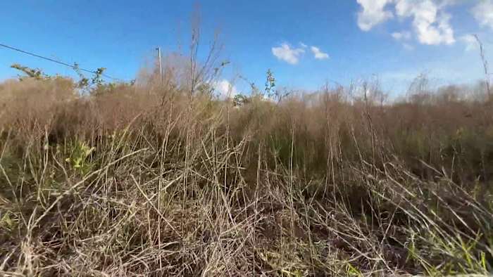 Brush fire concerns rise among worst drought Florida has seen since 2001
