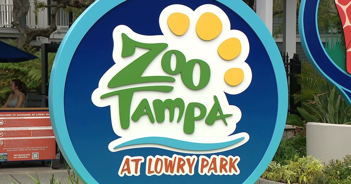 ZooTampa expansion: Hillsborough County approves $75M for new South America area, upgrades