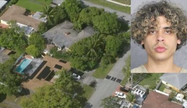 Man arrested after carjacking, chase ends in Fort Lauderdale crash
