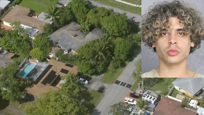 Man arrested after carjacking, chase ends in Fort Lauderdale crash