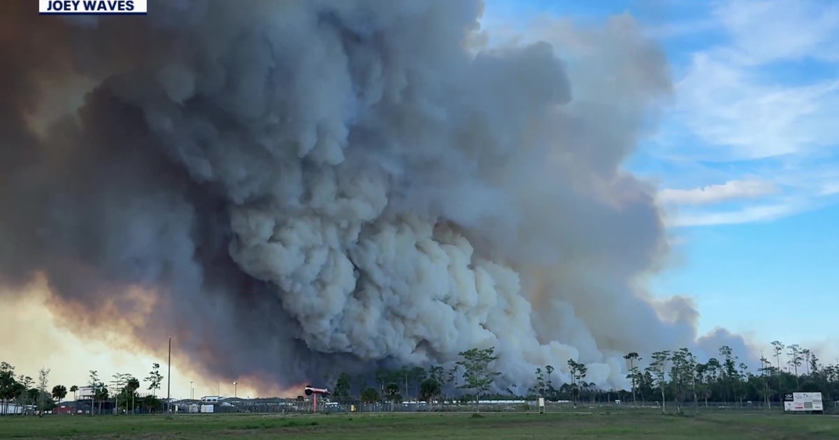 South Florida crews battle 1,500-acre wildfire near Alligator Alley