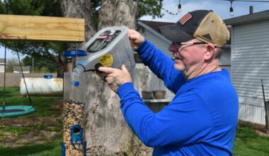 Aaron Wills of Jacksonville fills the bird feeders in his yard that help him attract various birds, including a rare leucistic robin. 