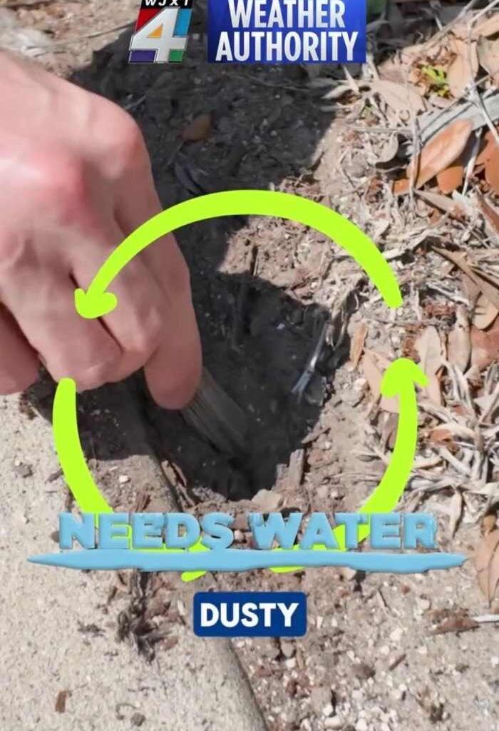 Heat, water concerns grown as drought drags on in Jacksonville