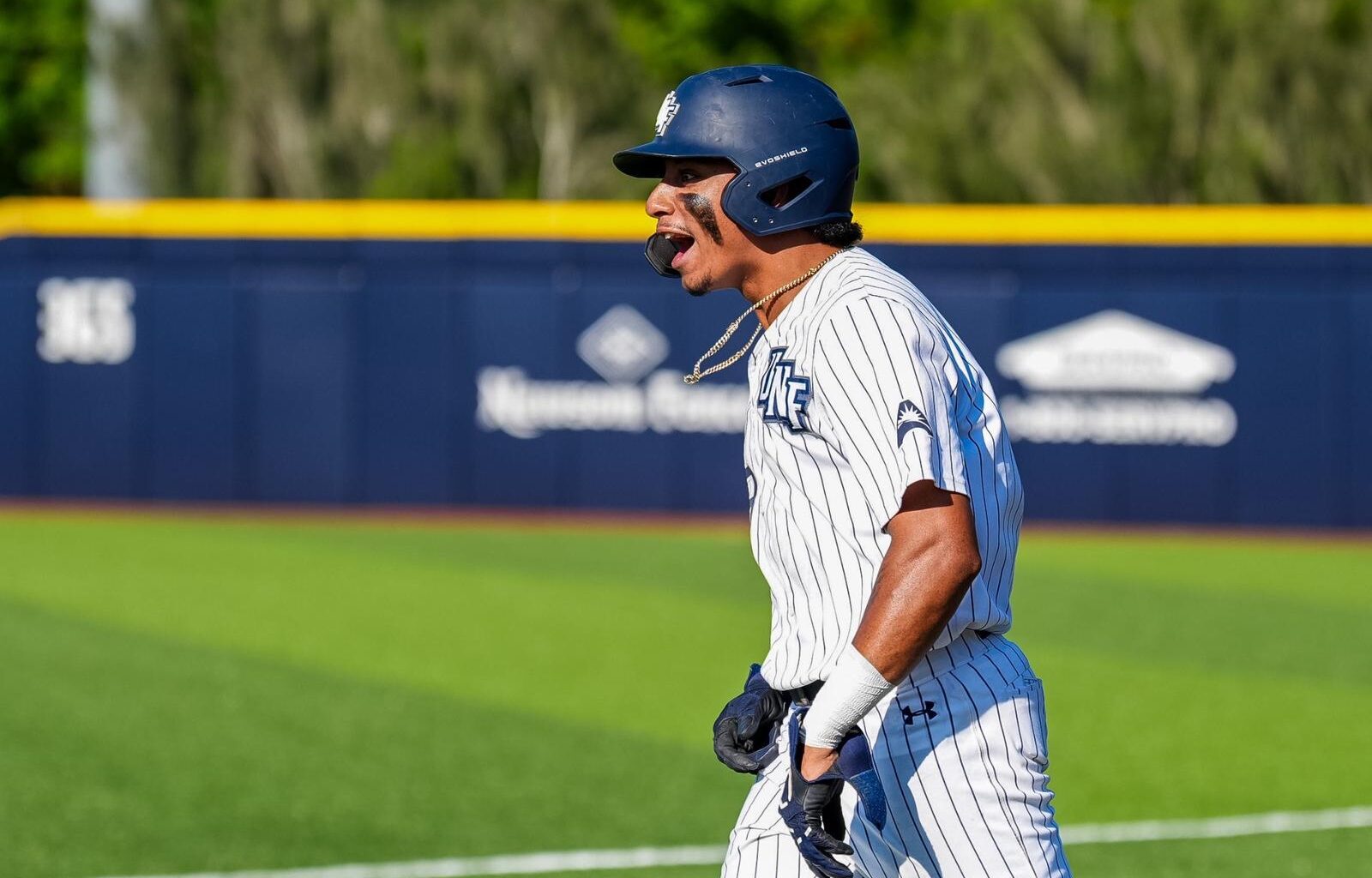 Stetson University Logo