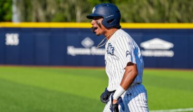 Stetson University Logo