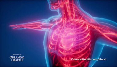The Orlando Health Vascular Surgery Department Treats a Variety of Diseases and Disorders