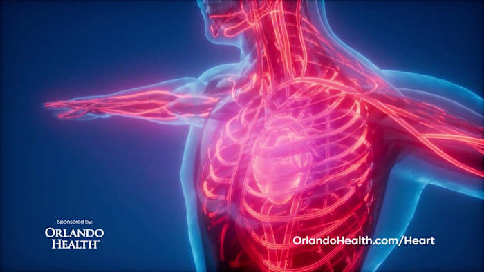 The Orlando Health Vascular Surgery Department Treats a Variety of Diseases and Disorders