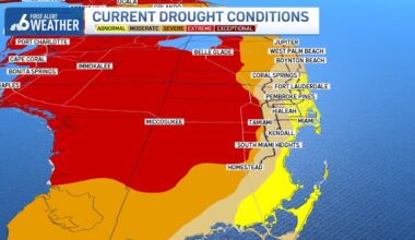 South Florida drought stays severe despite recent rain – NBC 6 South Florida