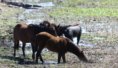 Yahoo lifestyle home