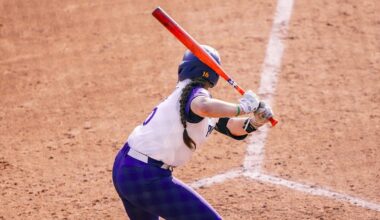 University of South Florida Logo