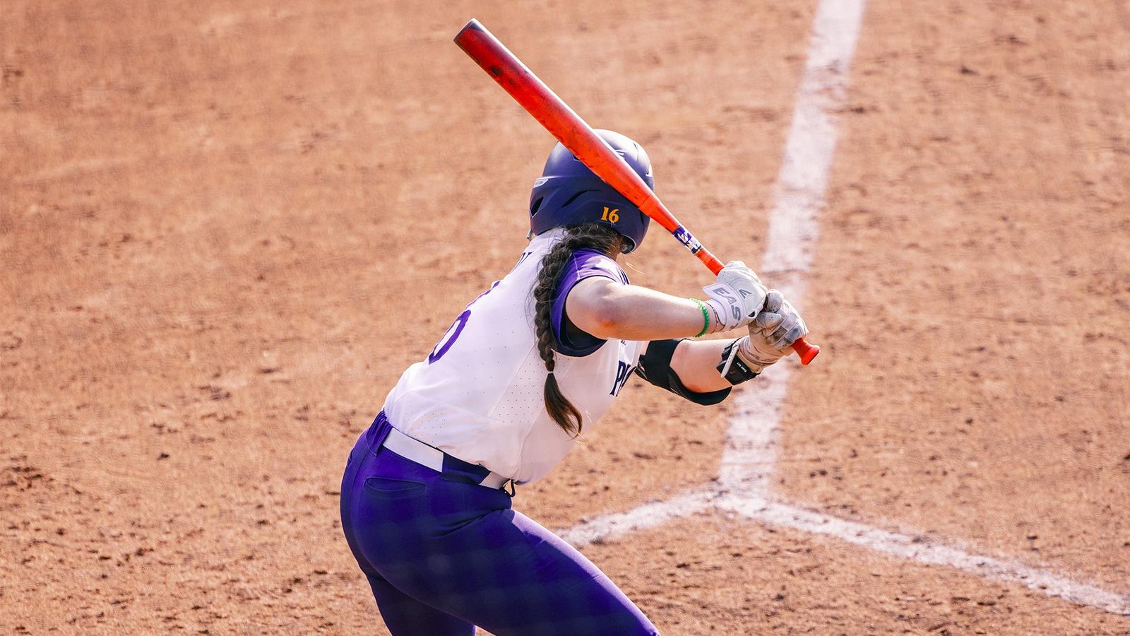 University of South Florida Logo