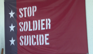 Swim across Boca Ciega Bay raises awareness for veteran suicide prevention in Pinellas County