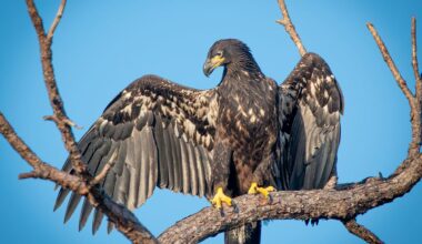 Best SW Florida reader photos include Sanibel, Cape Coral, Fort Myers