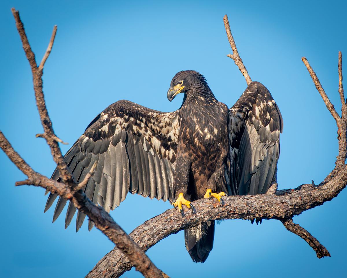 Best SW Florida reader photos include Sanibel, Cape Coral, Fort Myers