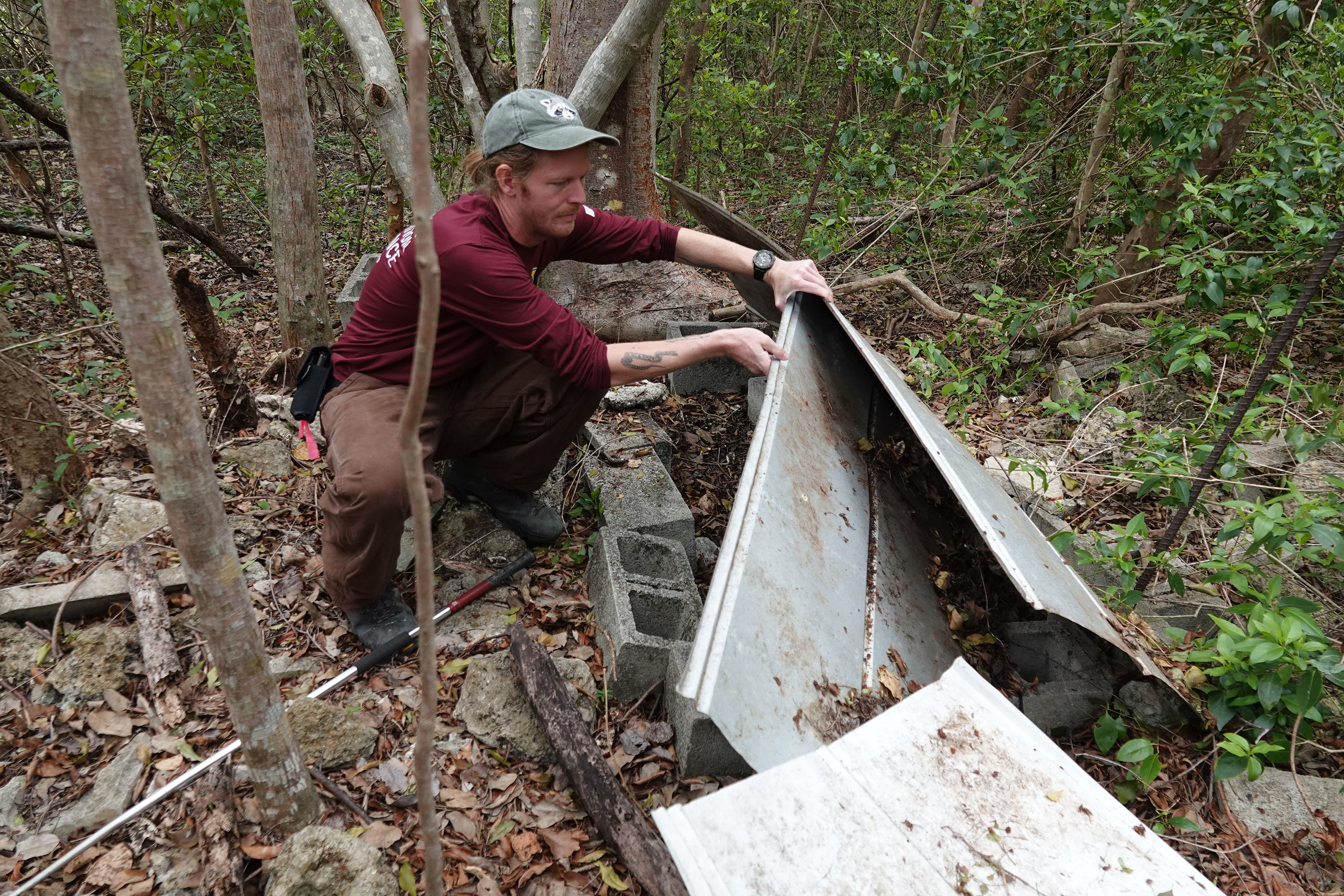 Isaac Lord searches for invasive pythons at a location where...