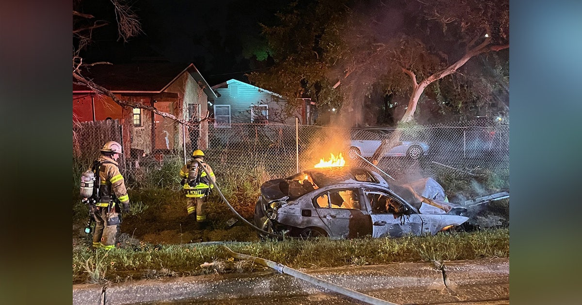 Car catches fire after crashing in ditch on Sligh Avenue: FHP