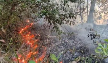 Large wildfires merging near Clay-Putnam County line prompt evacuations, Amtrak changes amid dry, windy conditions