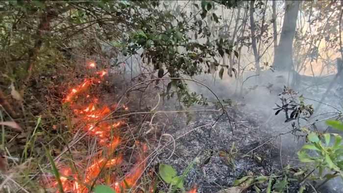 Large wildfires merging near Clay-Putnam County line prompt evacuations, Amtrak changes amid dry, windy conditions