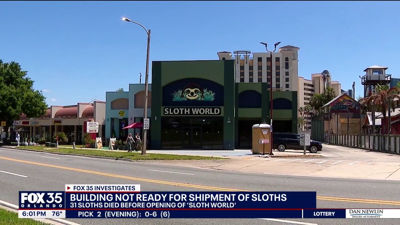 31 sloths died at Sloth World Orlando warehouse: FWC report